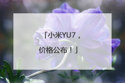 小米YU7，价格公布！