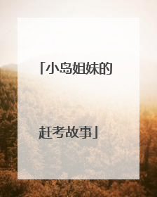 小岛姐妹的赶考故事