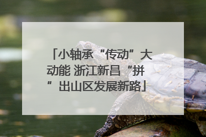 小轴承“传动”大动能 浙江新昌“拼”出山区发展新路