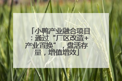 小鸭产业融合项目：通过“厂区改造+产业置换”，盘活存量，增值增效