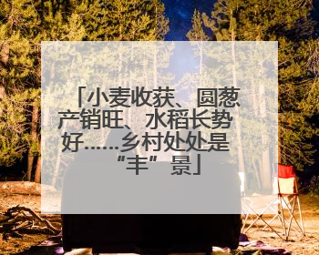 小麦收获、圆葱产销旺、水稻长势好……乡村处处是“丰”景