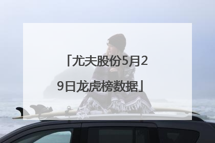 尤夫股份5月29日龙虎榜数据