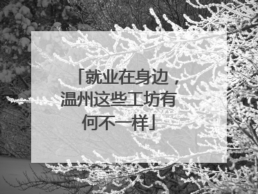 就业在身边，温州这些工坊有何不一样