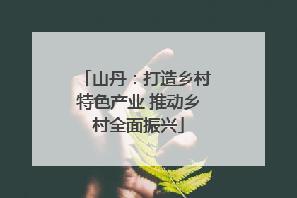 山丹：打造乡村特色产业 推动乡村全面振兴