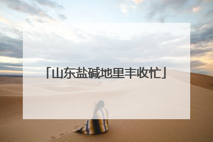 山东盐碱地里丰收忙
