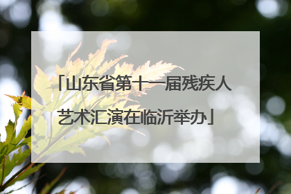 山东省第十一届残疾人艺术汇演在临沂举办