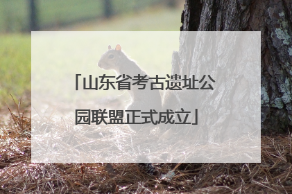 山东省考古遗址公园联盟正式成立