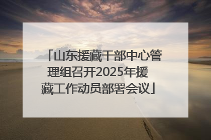 山东援藏干部中心管理组召开2025年援藏工作动员部署会议