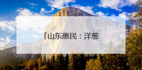 山东惠民：洋葱喜获丰收 鼓起农户“钱袋子”