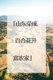山东荣成：百合花开富农家