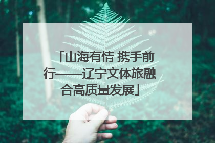 山海有情 携手前行——辽宁文体旅融合高质量发展