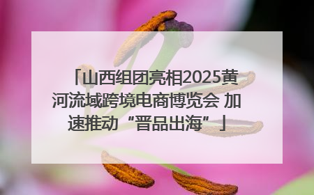 山西组团亮相2025黄河流域跨境电商博览会 加速推动“晋品出海”
