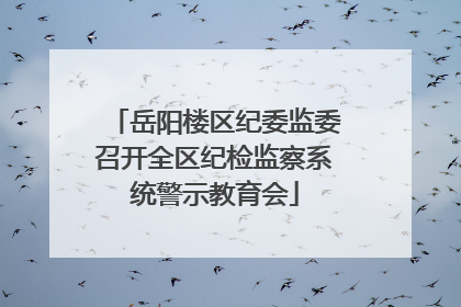 岳阳楼区纪委监委召开全区纪检监察系统警示教育会
