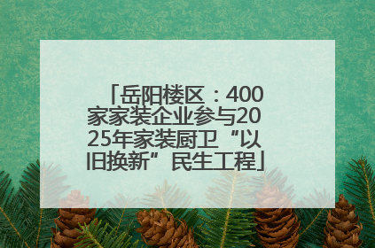 岳阳楼区：400家家装企业参与2025年家装厨卫“以旧换新”民生工程