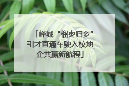 峄城“榴枣归乡”引才直通车驶入校地企共赢新航程