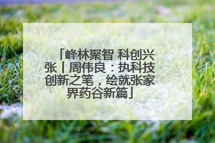 峰林聚智 科创兴张丨周伟良：执科技创新之笔，绘就张家界药谷新篇