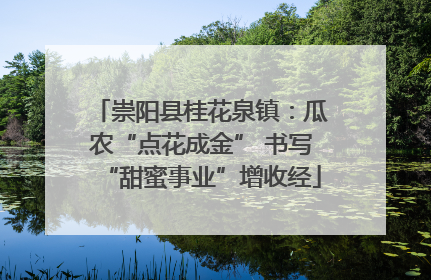 崇阳县桂花泉镇：瓜农“点花成金” 书写“甜蜜事业”增收经