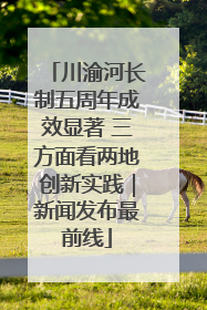 川渝河长制五周年成效显著 三方面看两地创新实践｜新闻发布最前线