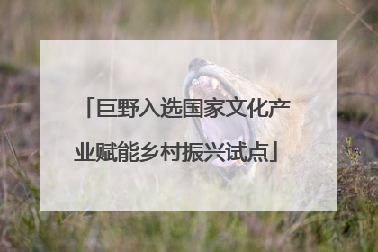巨野入选国家文化产业赋能乡村振兴试点