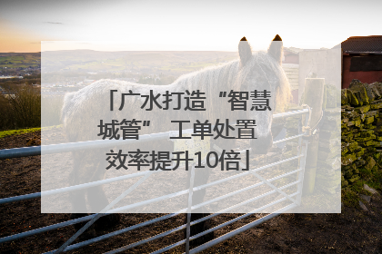 广水打造“智慧城管” 工单处置效率提升10倍