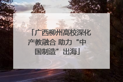 广西柳州高校深化产教融合 助力“中国制造”出海