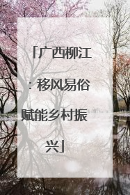 广西柳江：移风易俗赋能乡村振兴