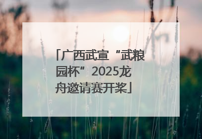广西武宣“武粮园杯”2025龙舟邀请赛开桨