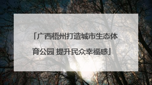 广西梧州打造城市生态体育公园 提升民众幸福感