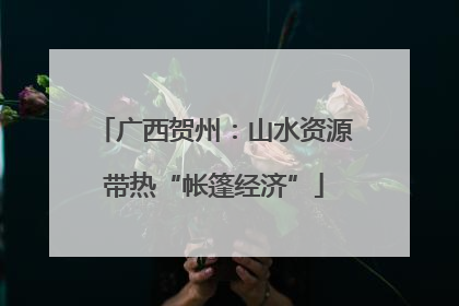 广西贺州：山水资源带热“帐篷经济”