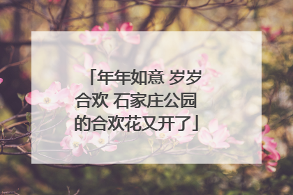 年年如意 岁岁合欢 石家庄公园的合欢花又开了