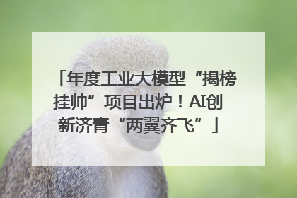 年度工业大模型“揭榜挂帅”项目出炉！AI创新济青“两翼齐飞”