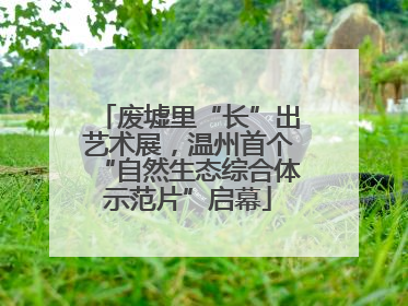 废墟里“长”出艺术展，温州首个“自然生态综合体示范片”启幕