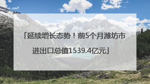 延续增长态势！前5个月潍坊市进出口总值1539.4亿元
