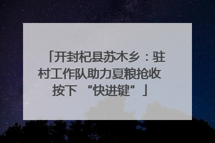开封杞县苏木乡：驻村工作队助力夏粮抢收按下 “快进键”