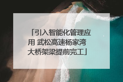 引入智能化管理应用 武松高速杨家湾大桥架梁提前完工
