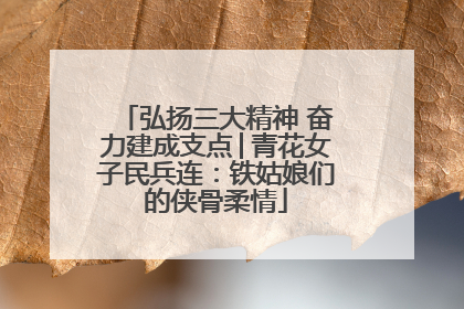 弘扬三大精神 奋力建成支点│青花女子民兵连：铁姑娘们的侠骨柔情