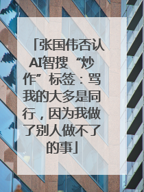 张国伟否认AI智搜“炒作”标签：骂我的大多是同行，因为我做了别人做不了的事