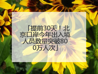 提前30天！北京口岸今年出入境人员数量突破800万人次