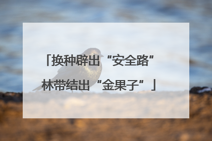 换种辟出“安全路” 林带结出“金果子”
