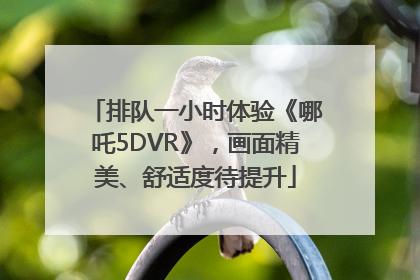 排队一小时体验《哪吒5DVR》，画面精美、舒适度待提升