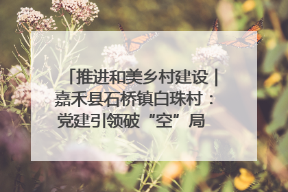 推进和美乡村建设｜嘉禾县石桥镇白珠村：党建引领破“空”局 乡贤聚力绘就新图景