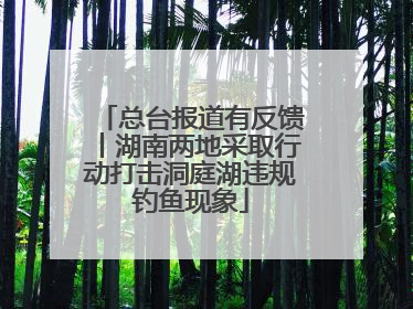 总台报道有反馈丨湖南两地采取行动打击洞庭湖违规钓鱼现象