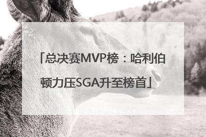 总决赛MVP榜：哈利伯顿力压SGA升至榜首