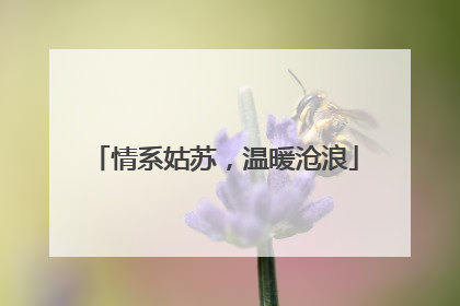情系姑苏，温暖沧浪