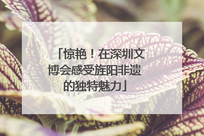 惊艳！在深圳文博会感受旌阳非遗的独特魅力
