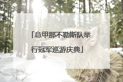 意甲那不勒斯队举行冠军巡游庆典