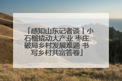 感知山东记者谈丨小石榴撬动大产业 枣庄破局乡村发展难题 书写乡村共富答卷