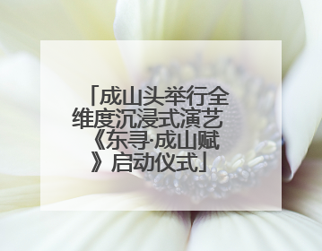 成山头举行全维度沉浸式演艺《东寻·成山赋》启动仪式