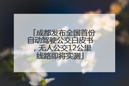 成都发布全国首份自动驾驶公交白皮书，无人公交12公里线路即将实测