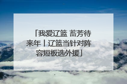 我爱辽篮 蓄芳待来年丨辽篮当针对阵容短板选外援
